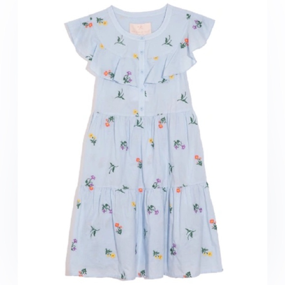 Gal Meets Glam Floral Embroidered Dress in Light Blue